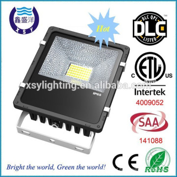 DLC ETL SAA C-Tick CE mini led flood light